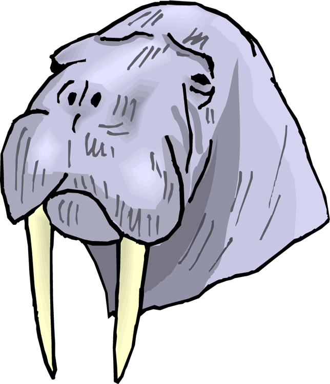 Svg Freeuse Download Free Walrus Clipart - Clip Art (644x750), Png Download