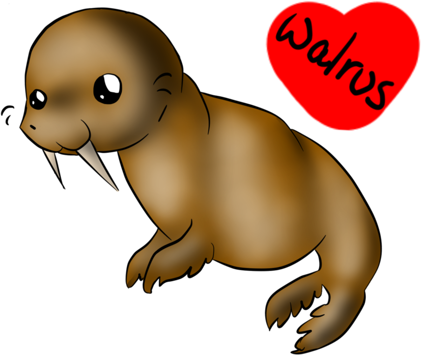 Walrus Vector Chibi - Chibi Walrus (955x836), Png Download