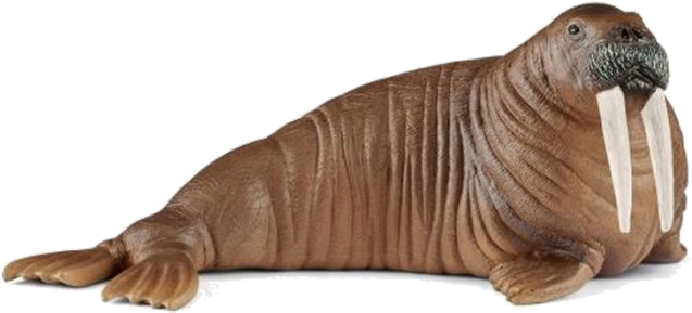 Schleich Walrus (700x700), Png Download