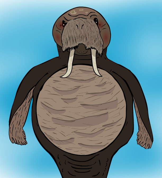 Author Comments - Defrancq (612x675), Png Download