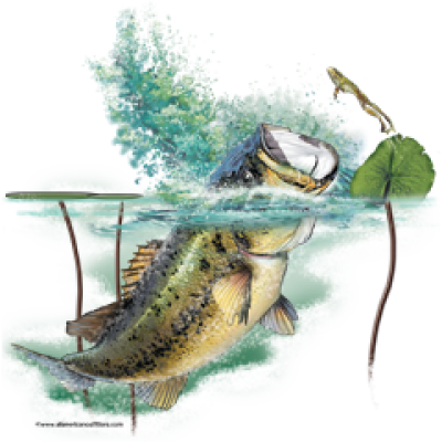 Browse Designs > All American Outfitters > Fish - Sea Bass (400x400), Png Download