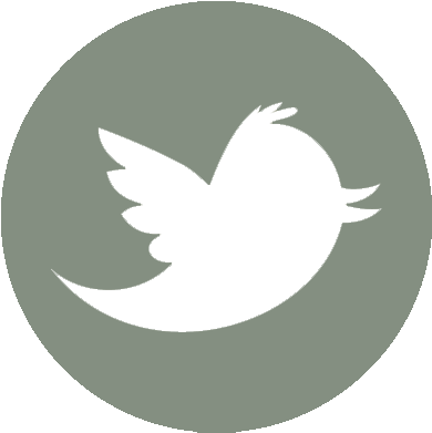 Twitter1 - Iconos De Redes Sociales Twitter (400x400), Png Download
