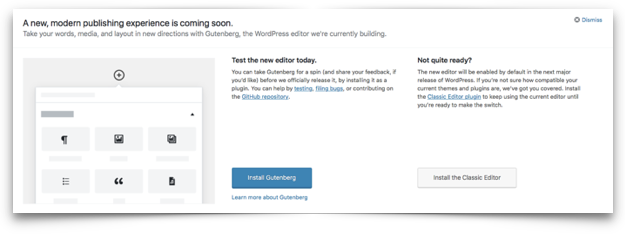 Gutenberg Installation Options - Project Gutenberg (625x234), Png Download