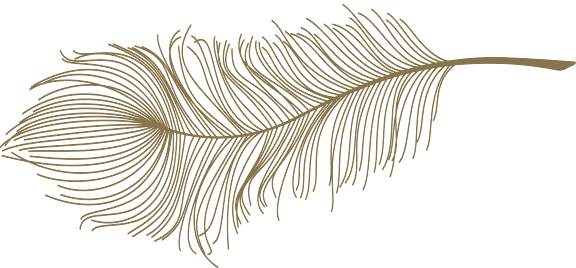 Gold Feathers Png - Illustration (576x268), Png Download