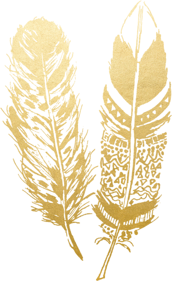 Gold-feathers - Animal Jam Clans (599x999), Png Download