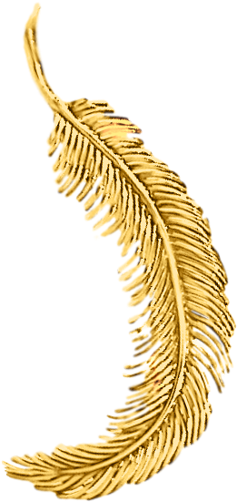 Tiffany Feather Gold Brooch - Illustration (672x672), Png Download
