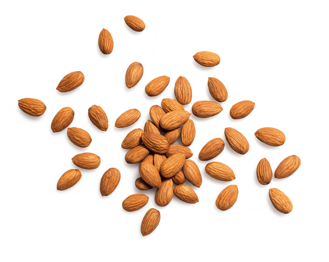Almond (1425x1050), Png Download