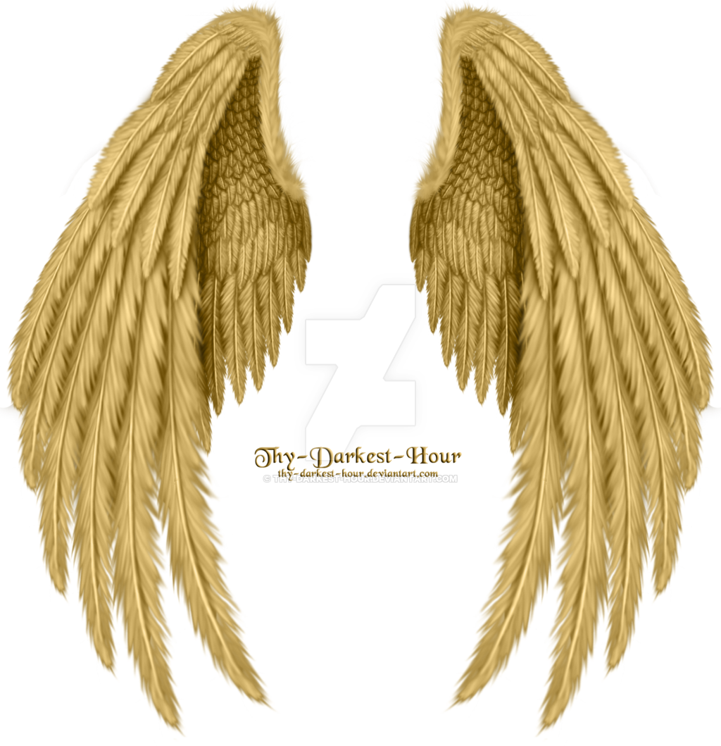 Gold Angel Wings Png Image Download - Golden Angel Wings Png (1024x1059), Png Download