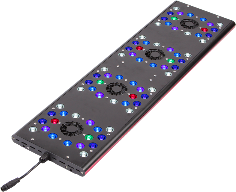 Led Aquarium Lights With Cree Led Chips, Led Aquarium - Aquarium Lighting (800x800), Png Download