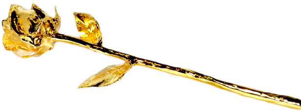 Golden Rose Png Free Download - Portable Network Graphics (800x530), Png Download