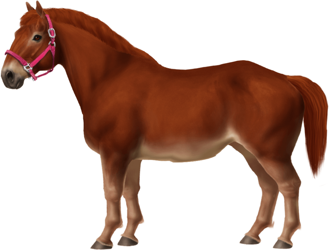 Belgian Pony - Cloverleaf Breyer (1200x955), Png Download