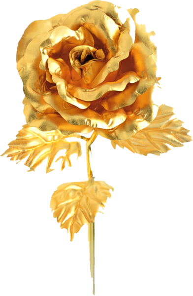 Gold Rose Png Jpg Royalty Free - Золотая Роза Зтп (392x600), Png Download