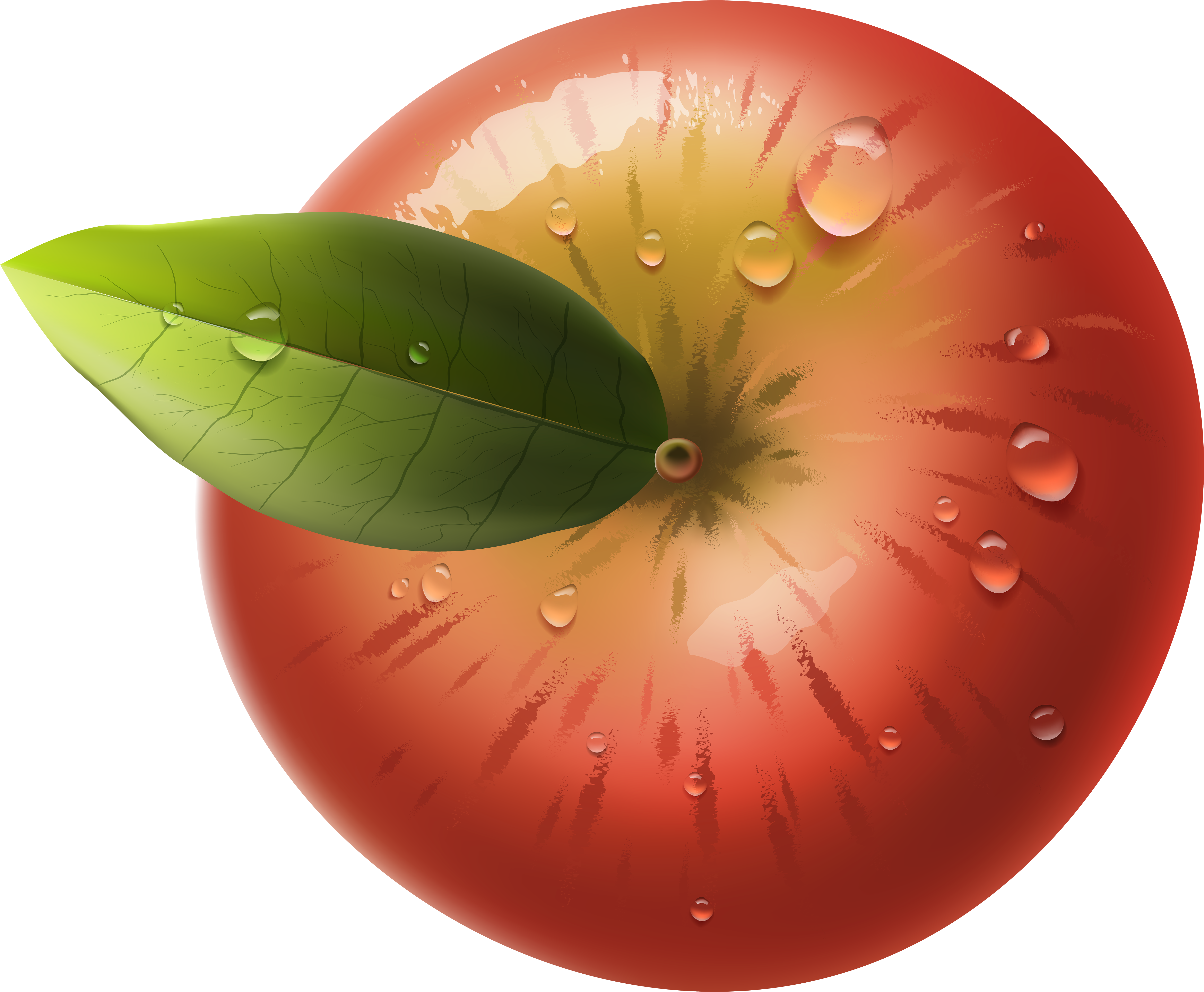 Cherry Tomatoes (6000x4943), Png Download