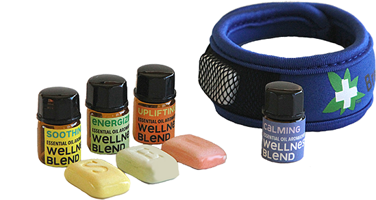 Close - Belt (650x650), Png Download