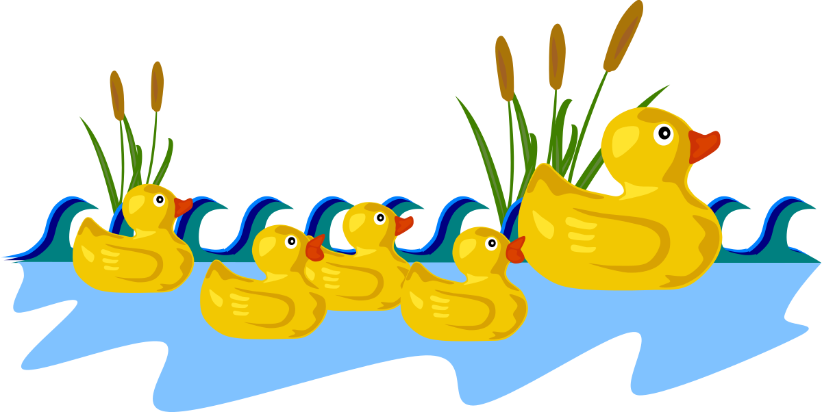 Rubber Duck Family - Duck And Ducklings Clipart (800x401), Png Download
