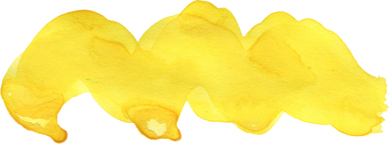 Free Download - Macro Photography (1298x496), Png Download