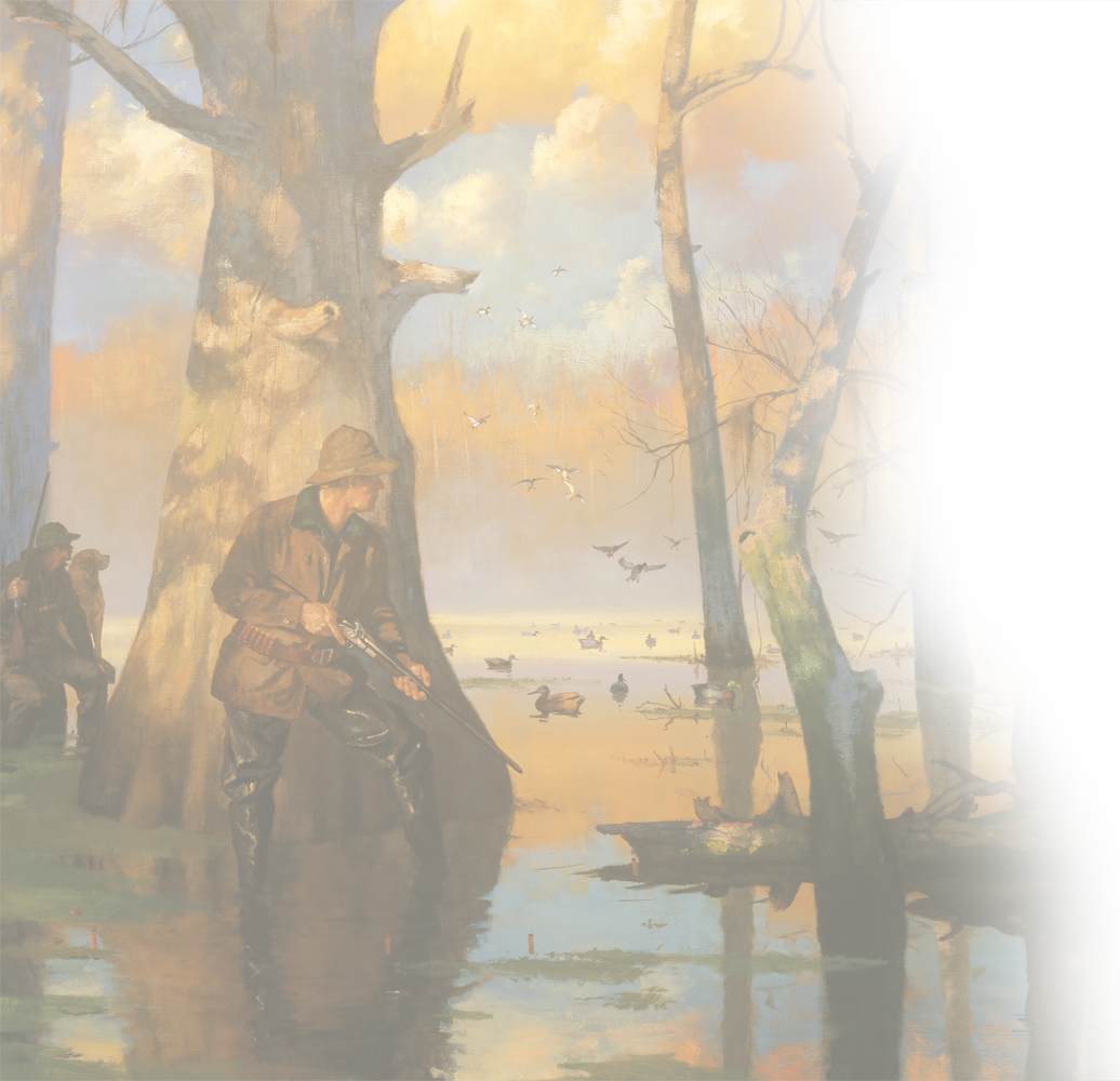 Waterfowl Hunting (1036x1000), Png Download