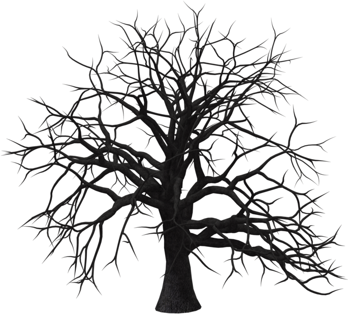 Old Tree Transparent Background Png - Silhouette (1024x645), Png Download