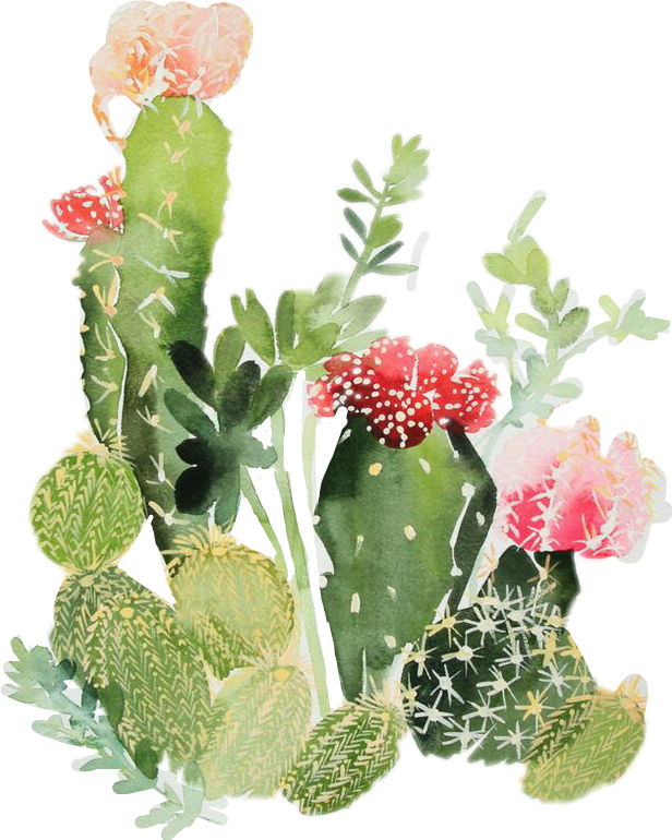 Nopales - Cactus Watercolor Print (616x770), Png Download