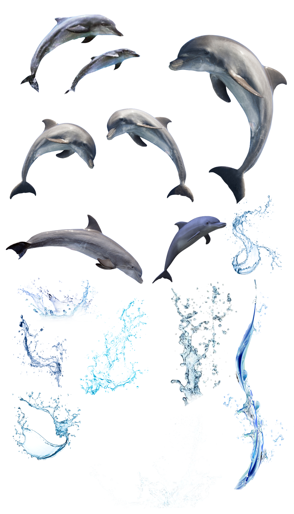 Splash Dolphins Water Sea Sealife Ocean - Beach Bath Book - Bath Book (1024x1790), Png Download