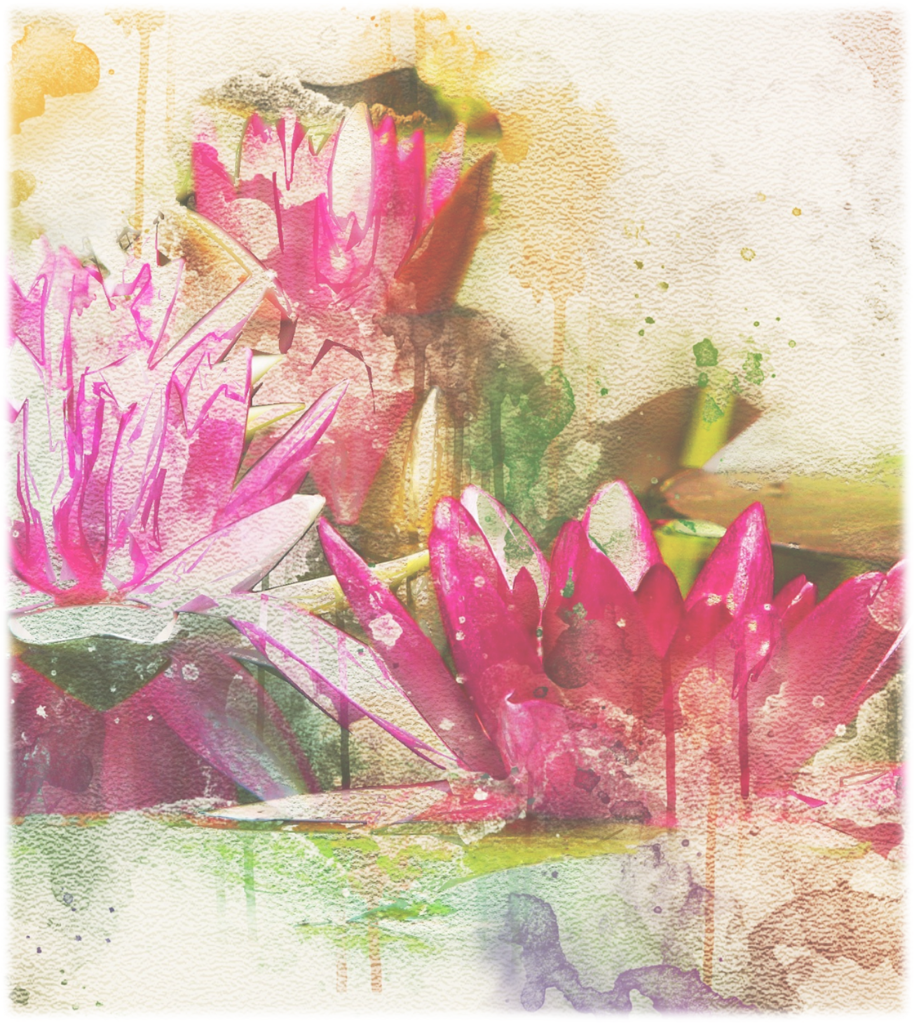 2018 03 04 Oos Image - Sacred Lotus (1304x1459), Png Download