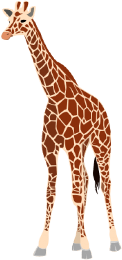 Giraffe Png - Giraffe Arabic Word (600x459), Png Download