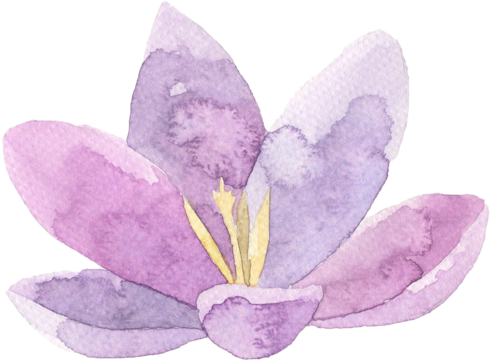 Watercolor Flower Theme - Webix (1060x807), Png Download