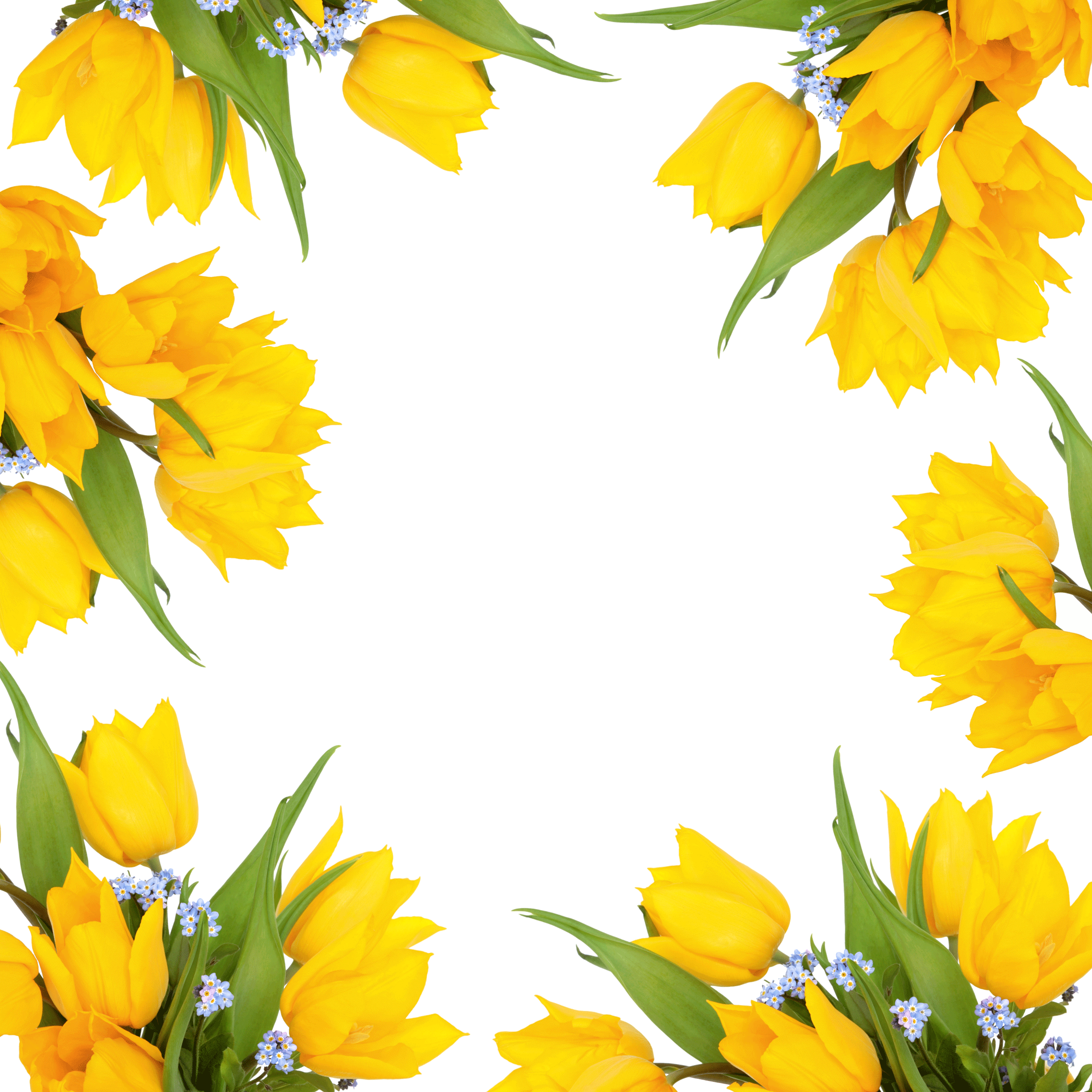 Yellow Flower Border Png - Leezone Flower Printing Cotton Velvet Square Throw (2500x2500), Png Download
