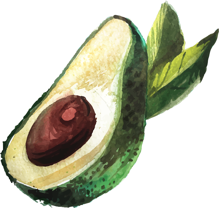Aguacate Png Dibujo (1024x1024), Png Download