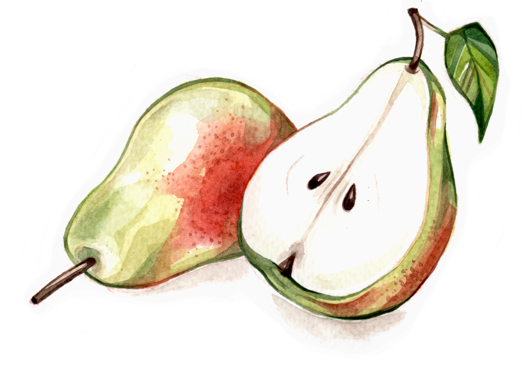 Fruit & Veg - Asian Pear (1765x1232), Png Download