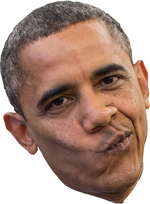 Obama - Barack Obama Transparent Png (524x712), Png Download