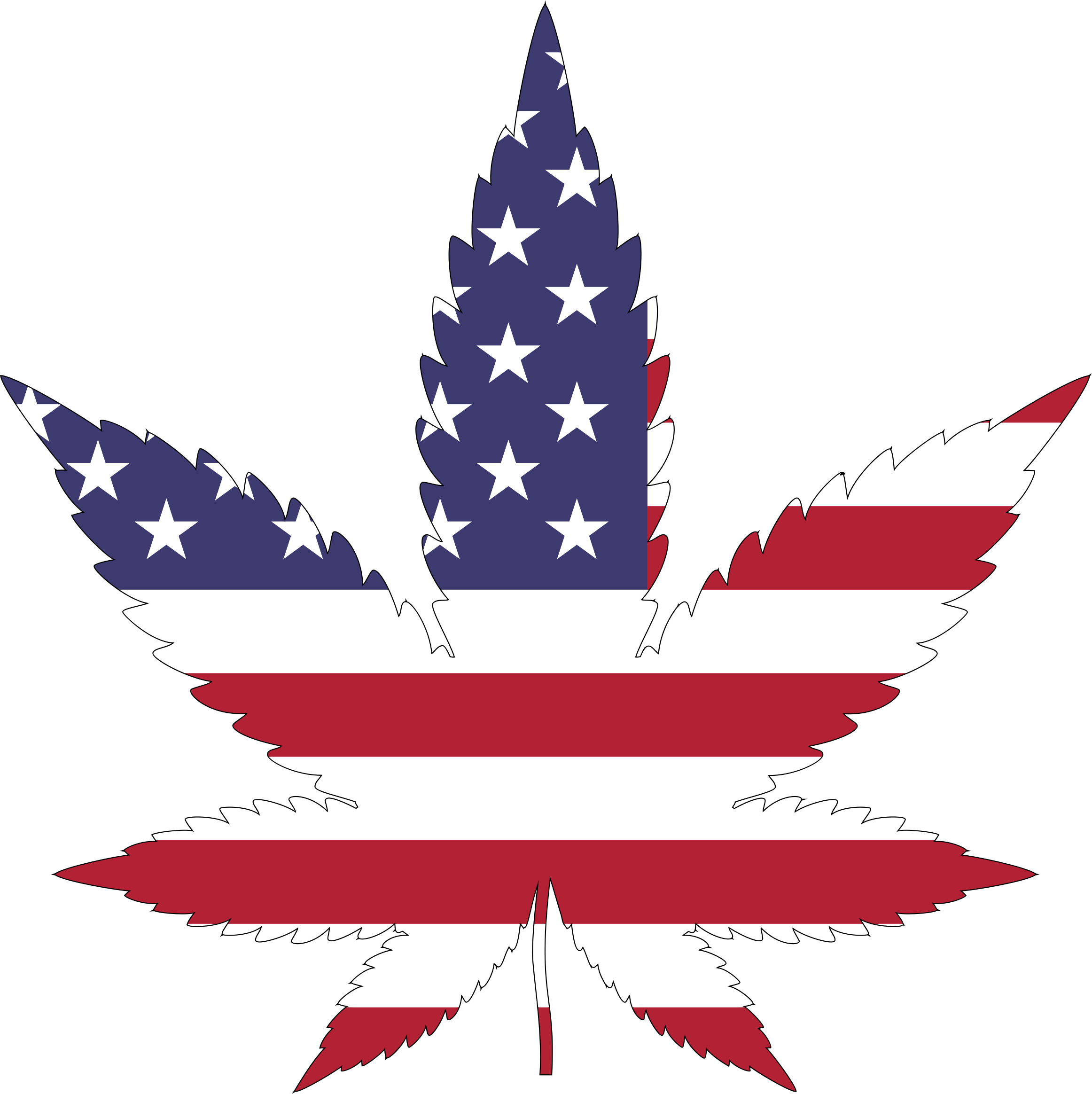 Marijuana Will Soon Be A Big Concern At The U - Marijuana Leaf American Flag (2324x2328), Png Download