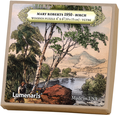Birch - Loch (539x500), Png Download