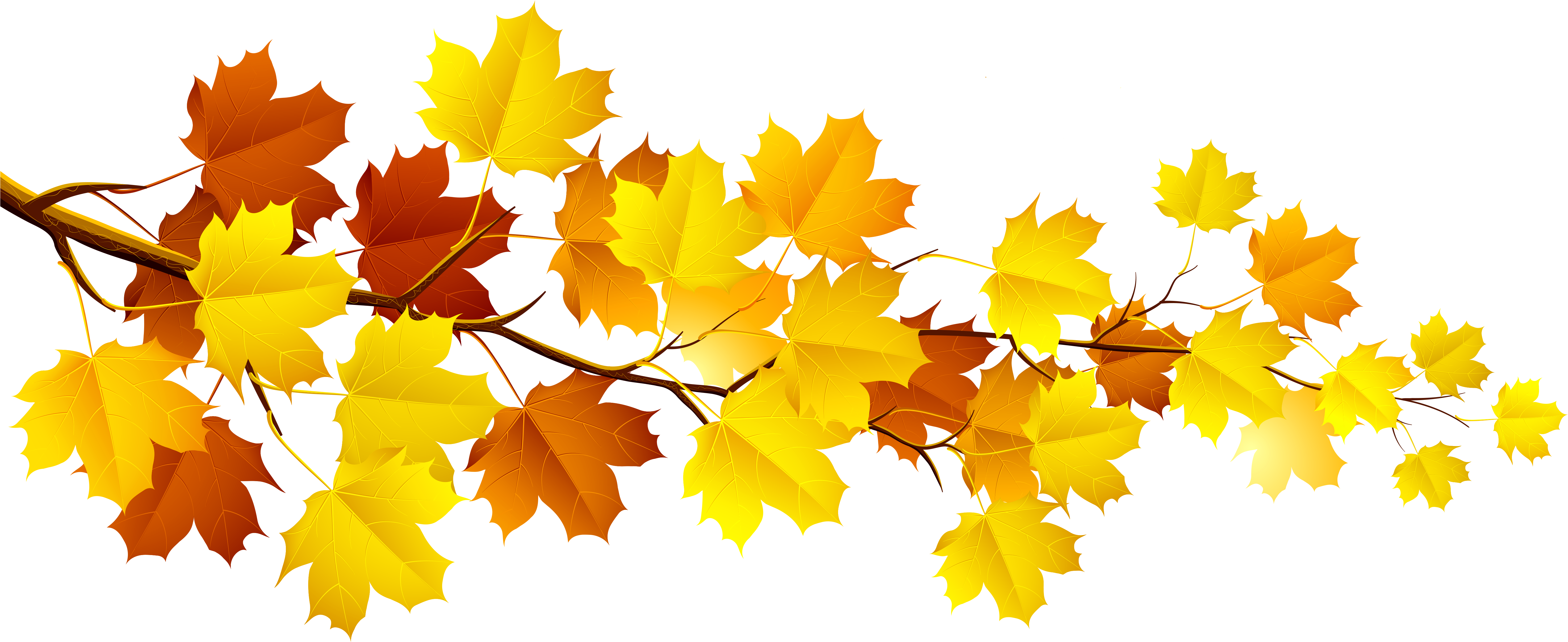 Autumn Leaves Clipart (5999x2681), Png Download