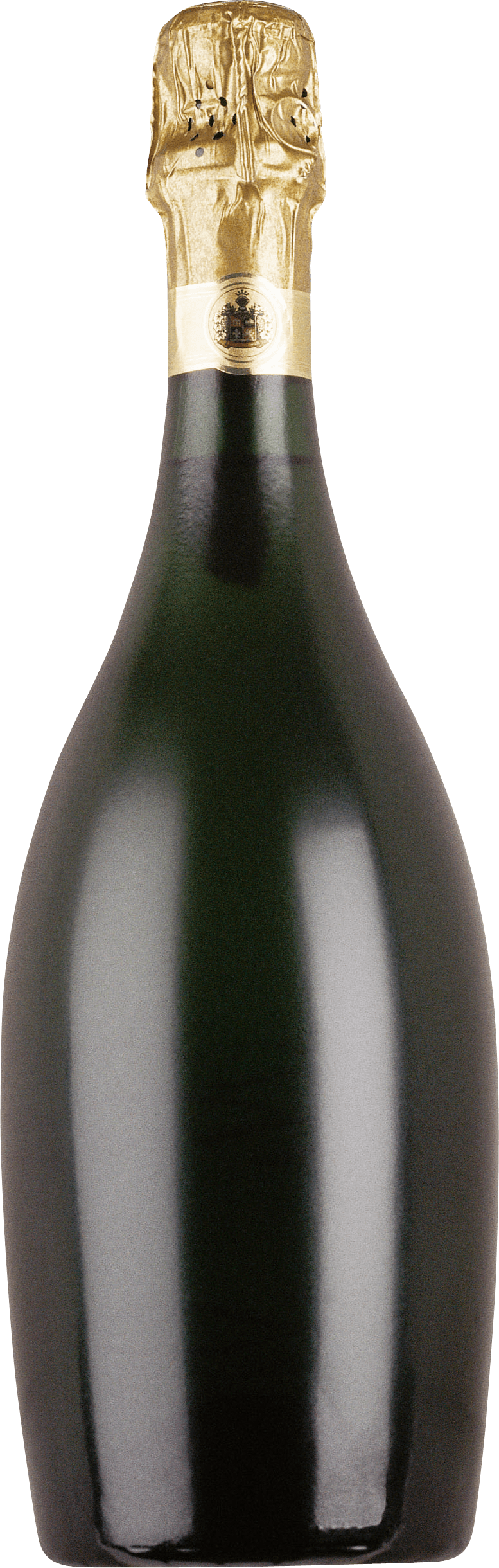 Free Png Large Champagne Bottle Png Images Transparent - Black Champagne Bottle Png (480x1507), Png Download