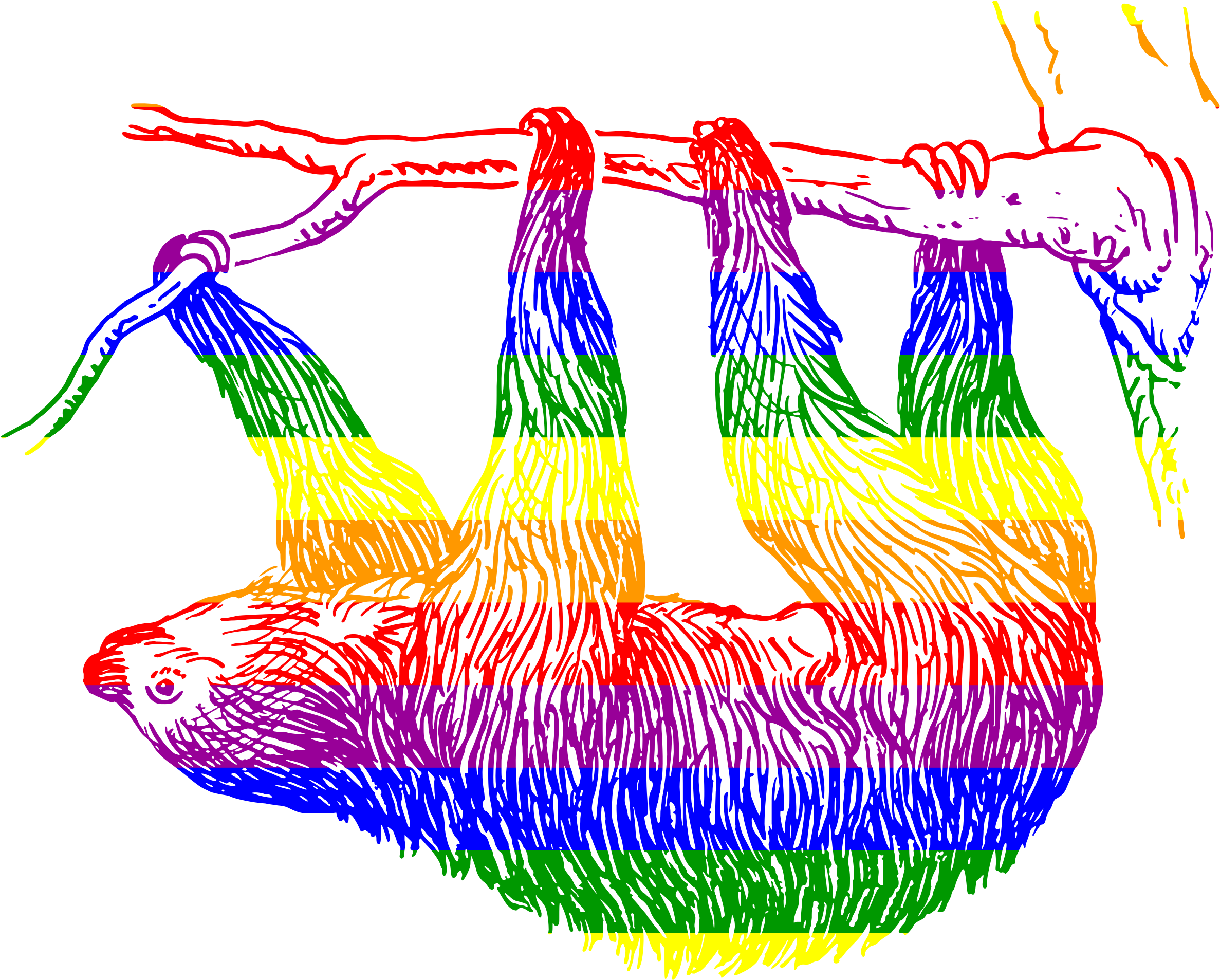 This Free Icons Png Design Of Gay Sloth (2400x1931), Png Download