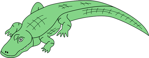 Drawing Footprints Alligator - Transparent Background Alligator Clip Art (450x300), Png Download