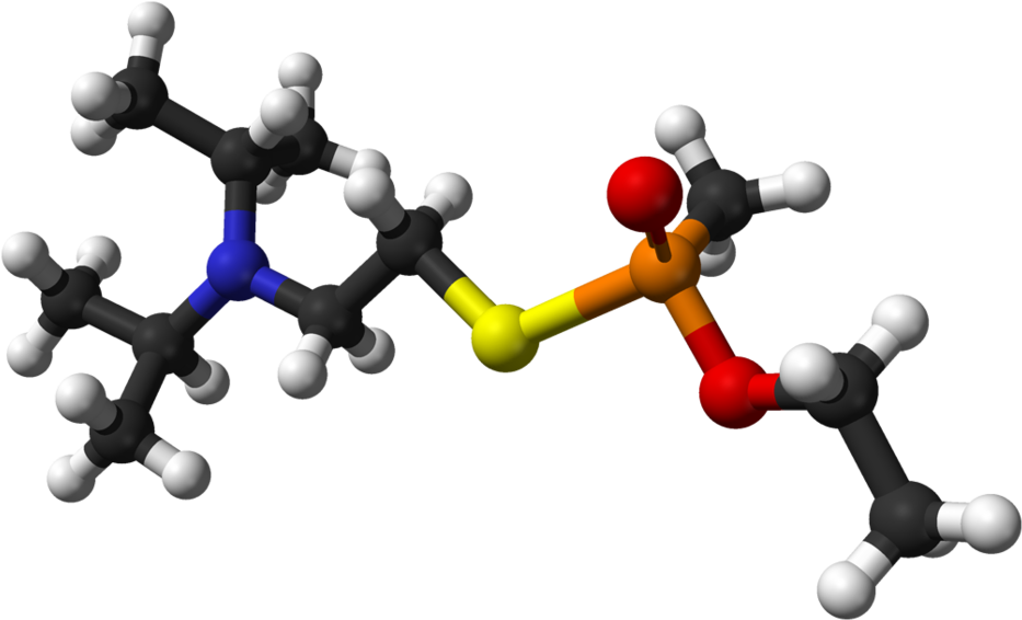 Kim Jong Nam, North Korean Leader Kim Jong Un's Half - Vx Compound (1024x657), Png Download