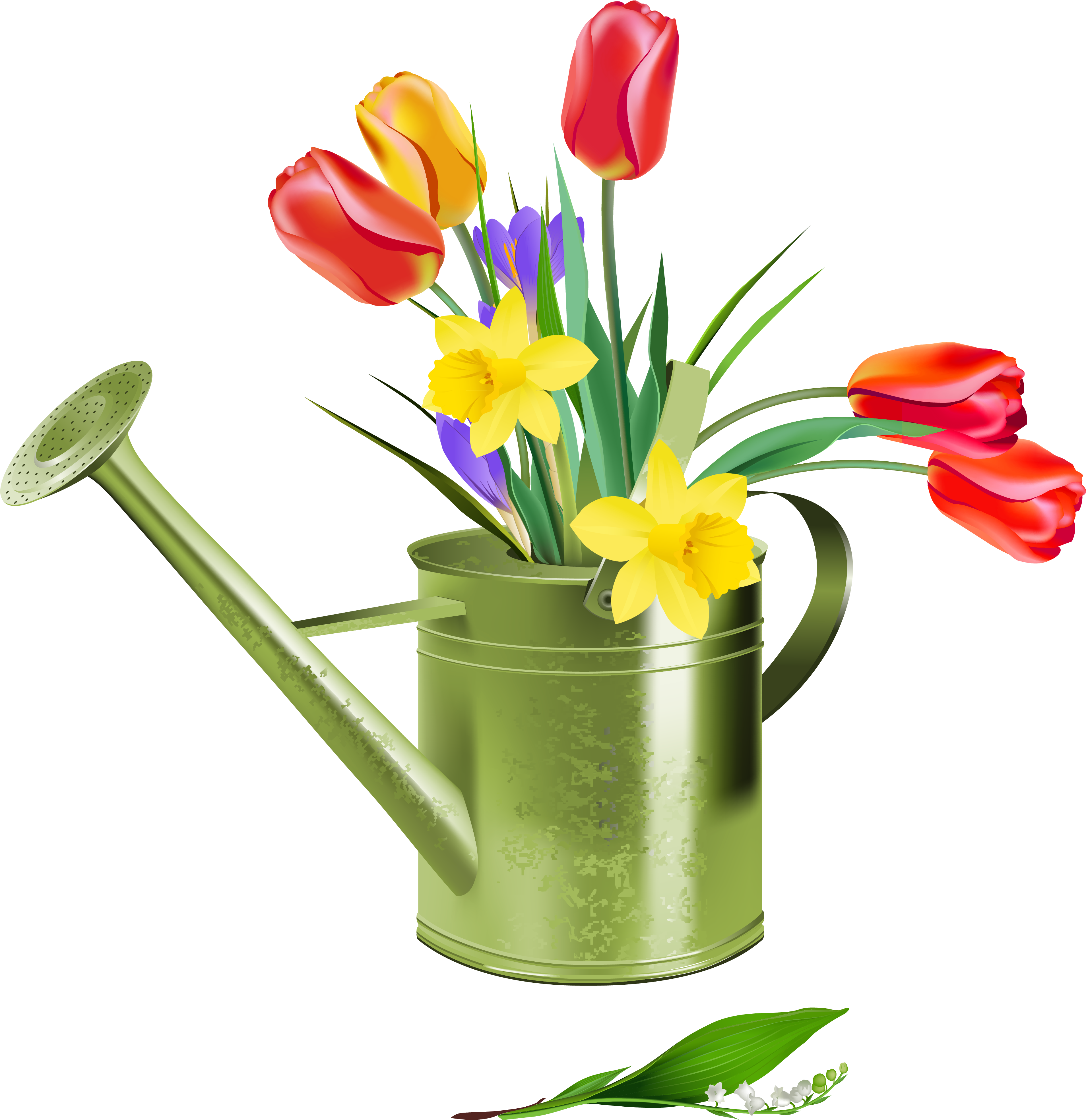 Transparent Stock Green Spring Png Gallery Is Available - Free Clipart Spring (3961x4167), Png Download