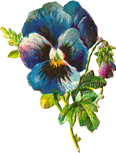 Blue Flower Clipart Victorian - Pansy (676x676), Png Download