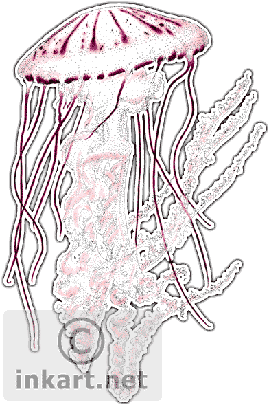 Purple - Purple Striped Jellyfish (403x590), Png Download