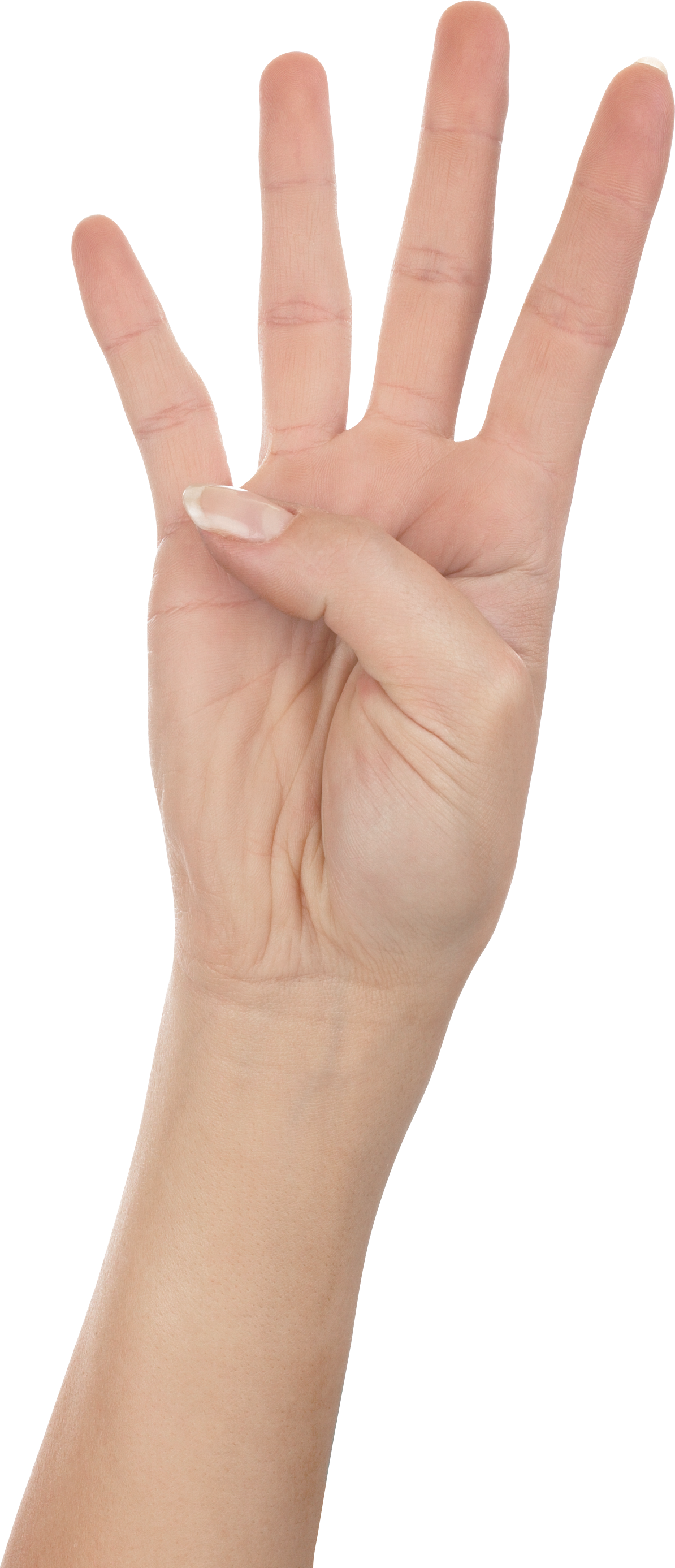 Four Finger Png (1194x2773), Png Download