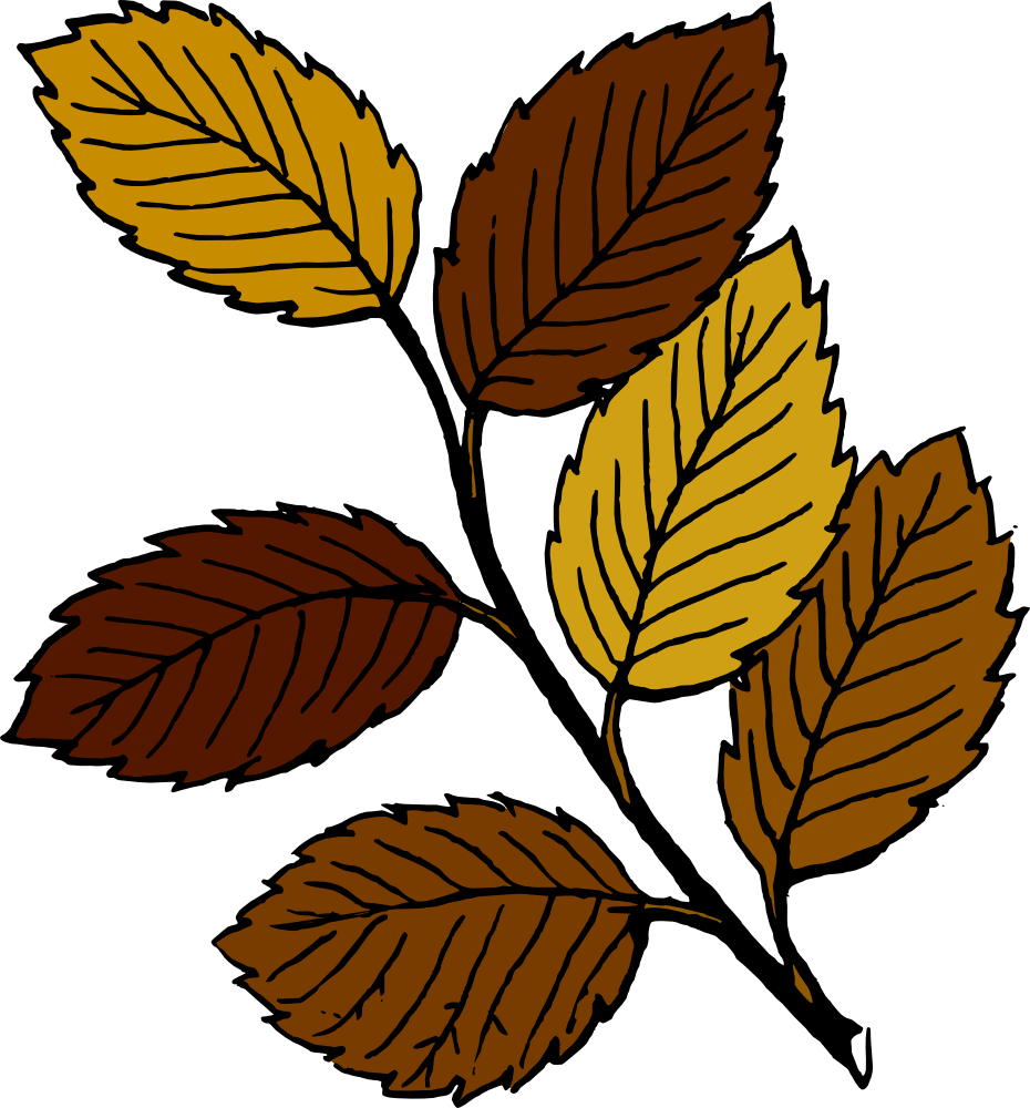 Leaves Clipart Brown Leaf Pencil And In Color Leaves - Dead Leaves Clip Art (930x1000), Png Download