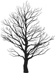 Tree Vector Clipart, Tree Vector Clipart, Tree Clipart, - Enjoy Life Smile Quotes (360x360), Png Download