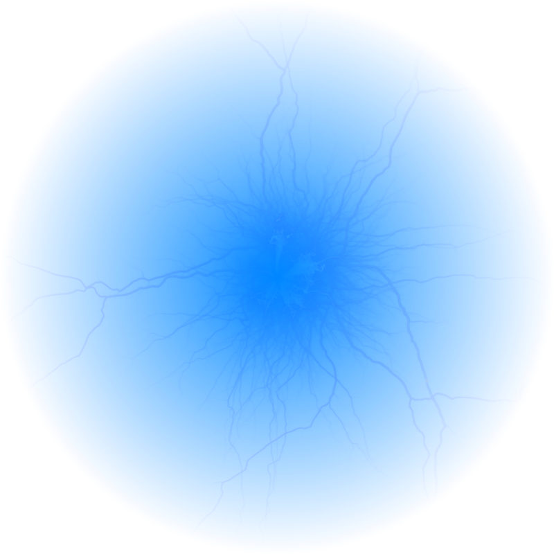 Rre Electrical Services - Jellyfish (800x800), Png Download