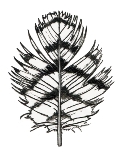 Owl Feather - Watercolor Feather Set Of 8 Temporary Tattoos (700x700), Png Download