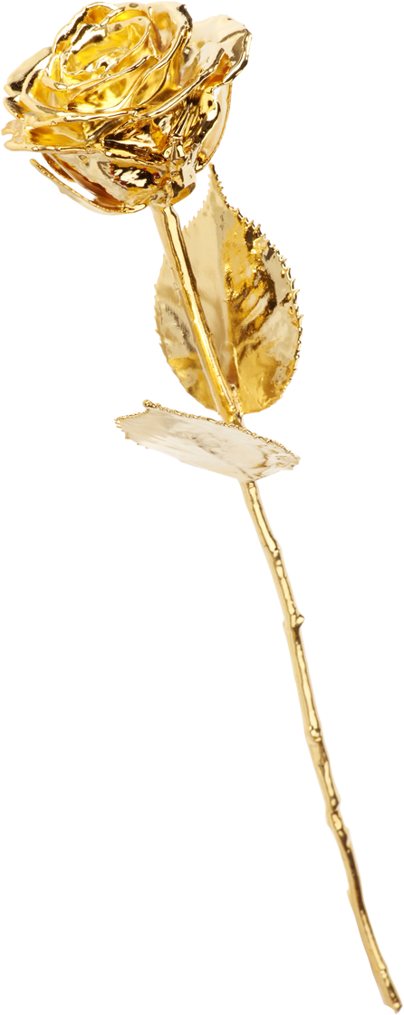 The Golden Rose - Rosa Dorada (1200x1200), Png Download