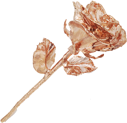 Rose-gold - Rose Gold Png (500x500), Png Download