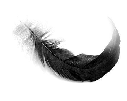 Monochrome (428x340), Png Download