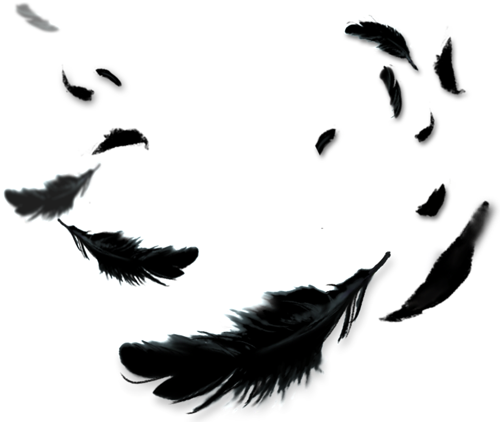 Transparent Crow Feathers (1024x878), Png Download